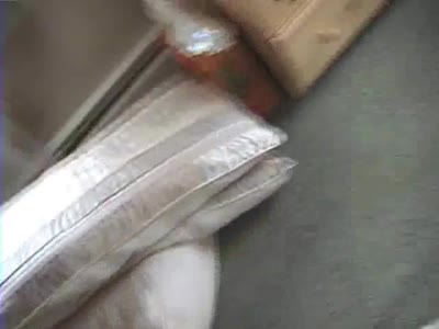 ycy4AVKybJmqjwYf.mp4