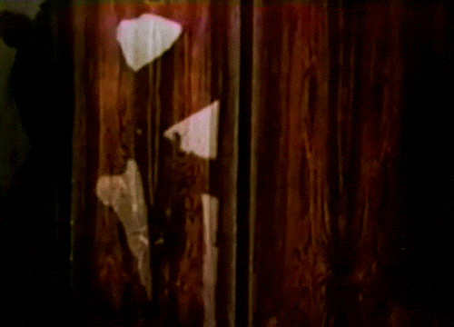 49qfQ5yW51DvVqlg.gif