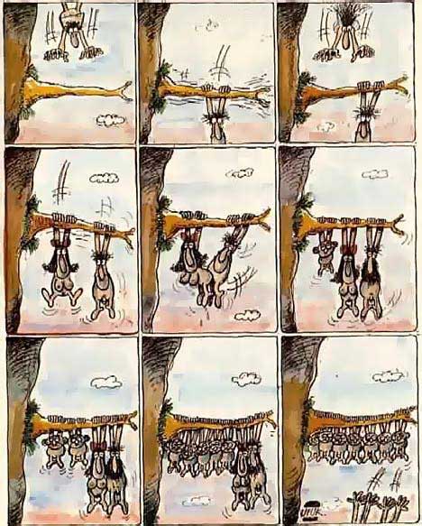 7zQeYI848LYNIrh8.jpg