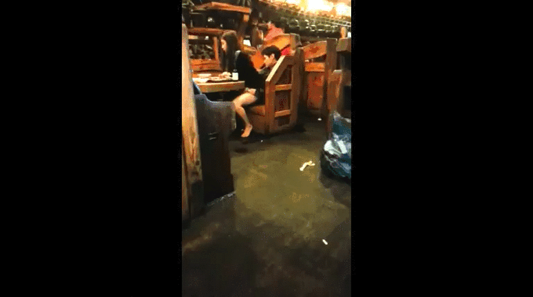 M80b2ydMc74TE2CP.gif