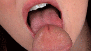 PXQB5tKA3g7oNBq0.gif