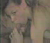 rHLuf5FF5QdXLqAc.bmp